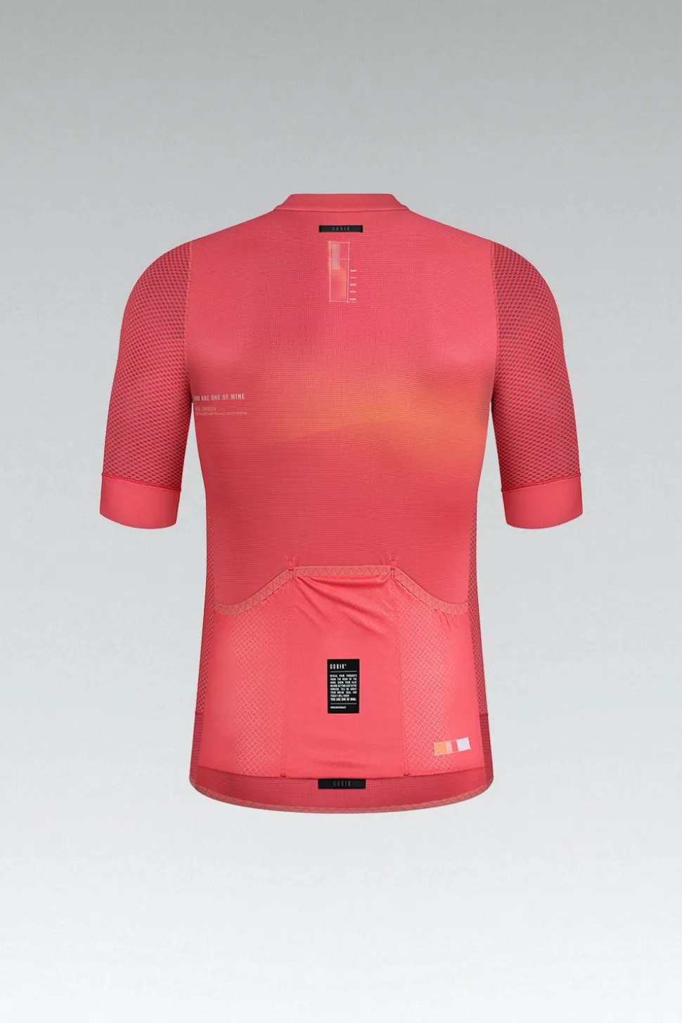 Maillots>GOBIK MAILLOT MANGA CORTA CARRERA 2.0 UNISEX PARADISE
